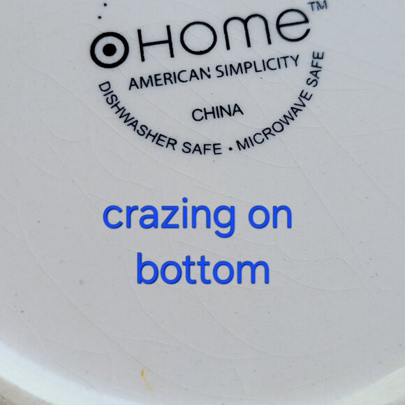 American Simplicity Floral Salad Plate Set of 2, Stoneware, Beige with Vines - Picture 10 of 11